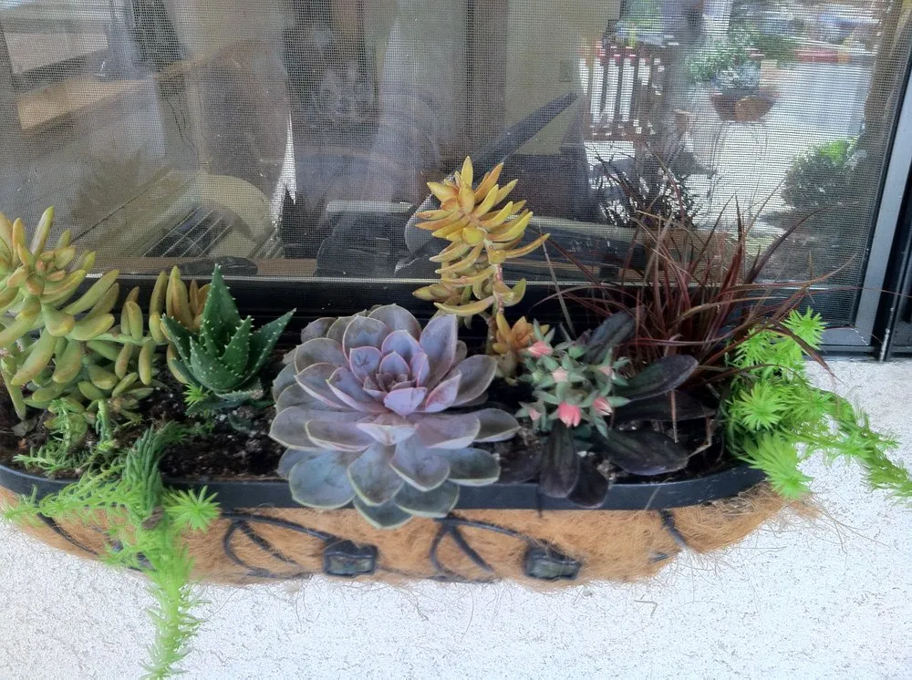 Trusted landscape installation in Pismo Beach, CA by Evergreen Landscaping