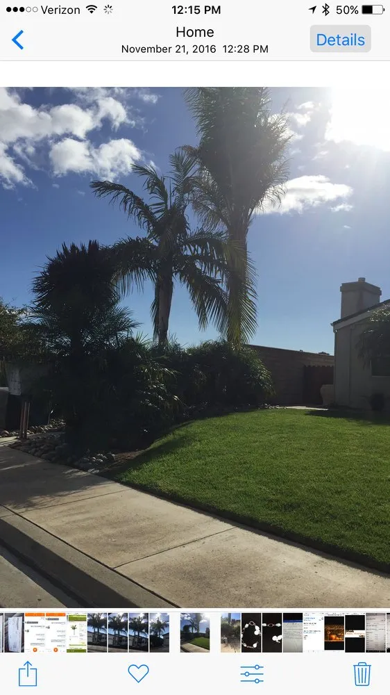 Affordable landscaping services experts serving Pismo Beach, CA - Evergreen Landscaping