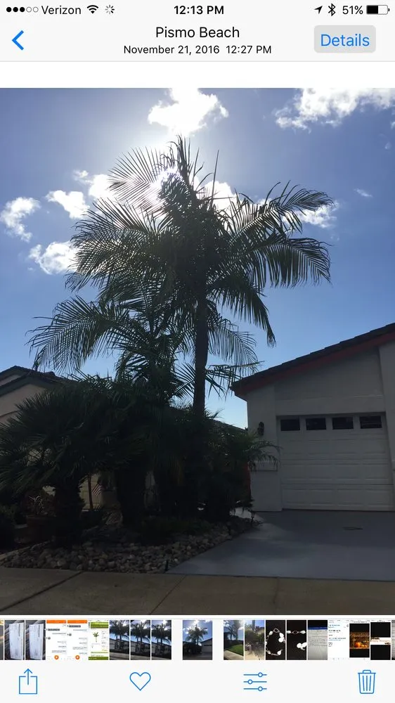 Professional yard maintenance for outdoor upgrades across Pismo Beach, CA - Evergreen Landscaping