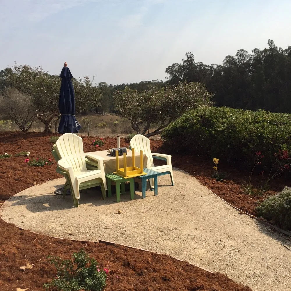 Affordable lawn care service in Pismo Beach, CA - Evergreen Landscaping