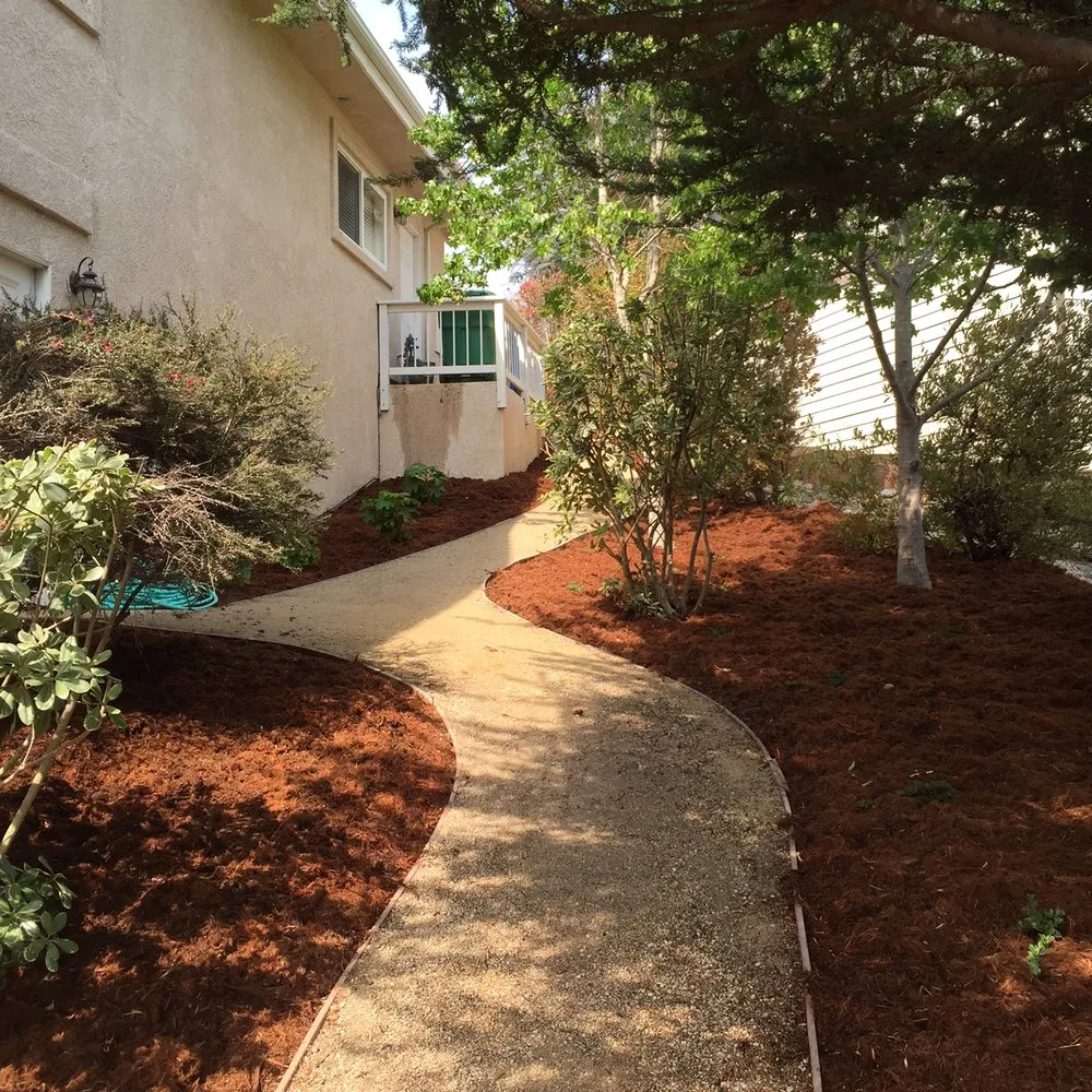 Professional landscape installation in Pismo Beach, CA by Evergreen Landscaping