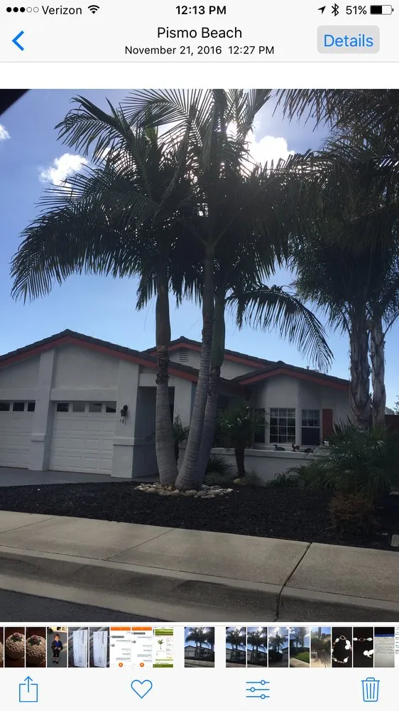 Professional landscaping services experts serving Pismo Beach, CA - Evergreen Landscaping