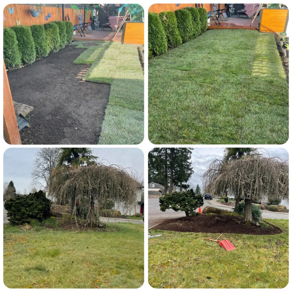 Affordable landscaping services in Salem, OR - Evergreen Landscaping