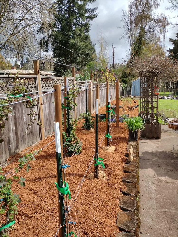 Top-rated landscaping services for homes across Salem, OR - Evergreen Landscaping