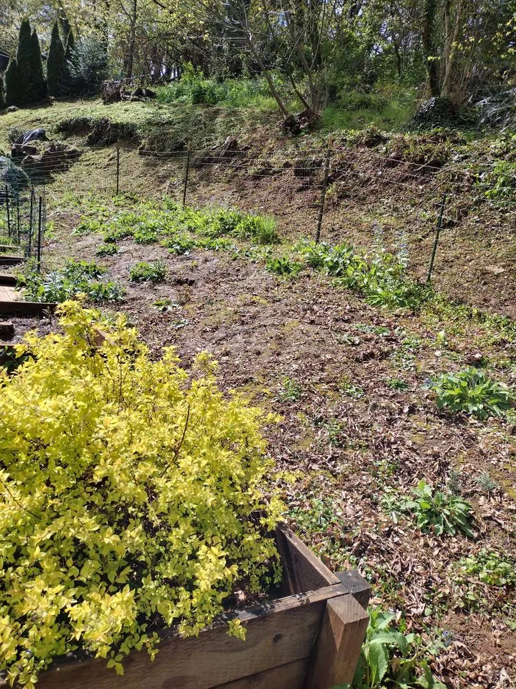 Affordable residential landscaping near you in Salem, OR by Evergreen Landscaping