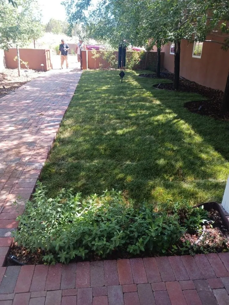 Professional yard cleanup service in Santa Fe, NM - Evergreen Landscaping