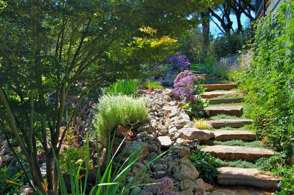 Affordable landscape design experts serving Saratoga, CA - Evergreen Landscaping