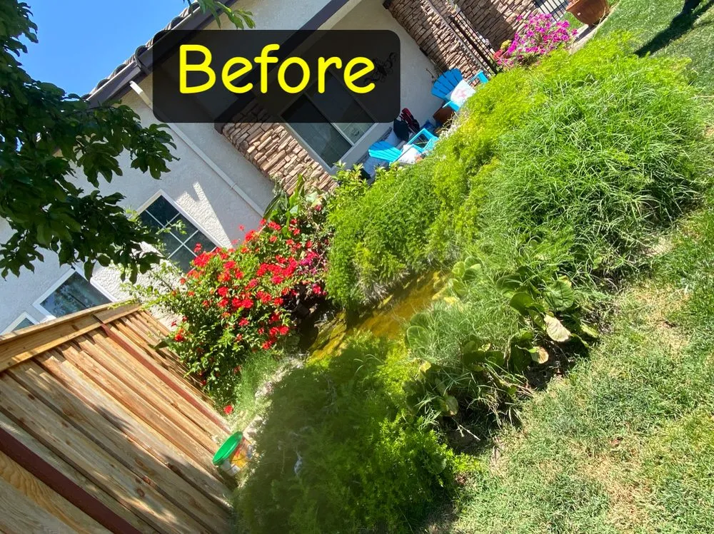 Custom yard cleanup service in Antelope, CA - Evergreen Landscaping Services