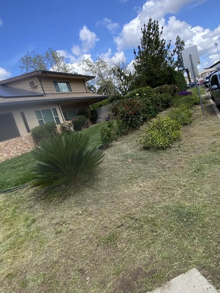 Custom lawn mowing service in Antelope, CA by Evergreen Landscaping Services