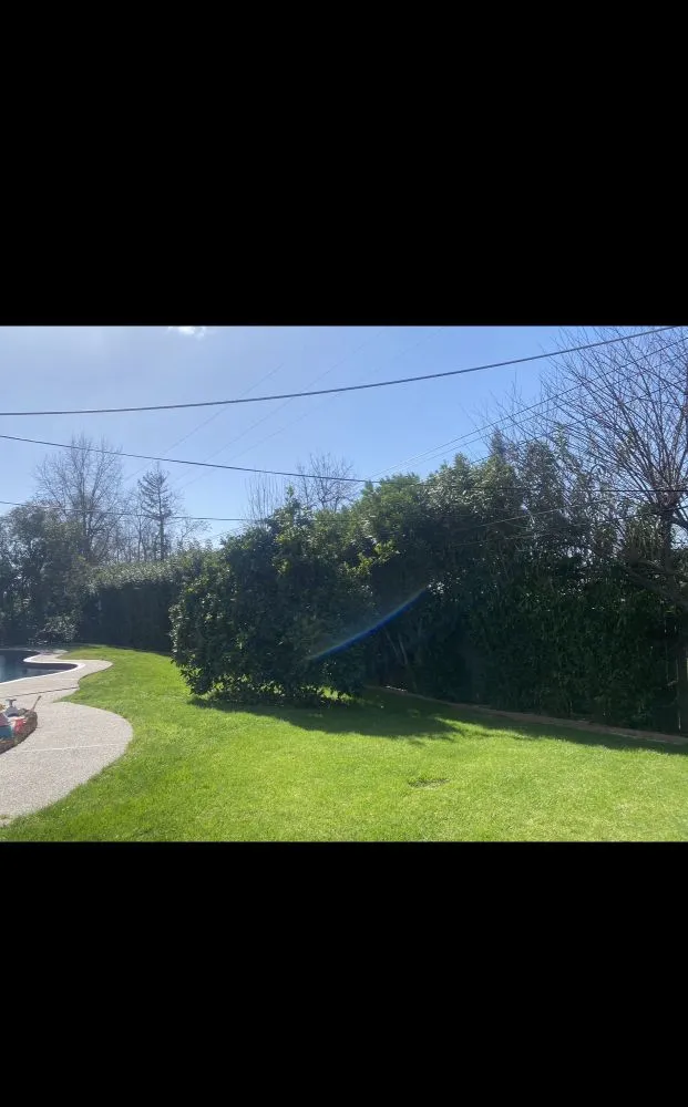 Custom residential landscaping for homes across Antelope, CA - Evergreen Landscaping Services