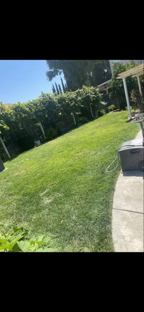 Local landscape design for outdoor upgrades across Antelope, CA - Evergreen Landscaping Services