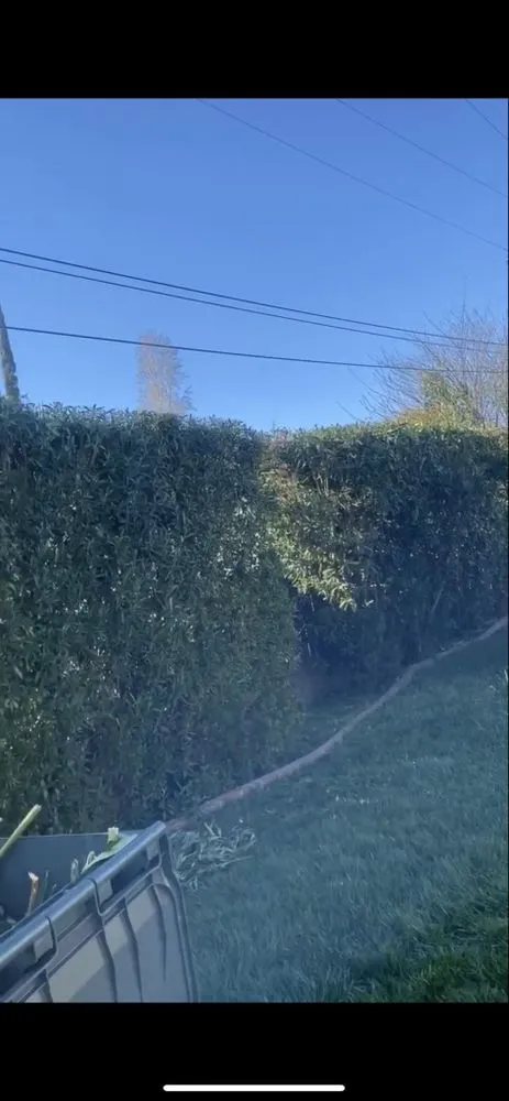 Custom residential landscaping experts serving Antelope, CA - Evergreen Landscaping Services