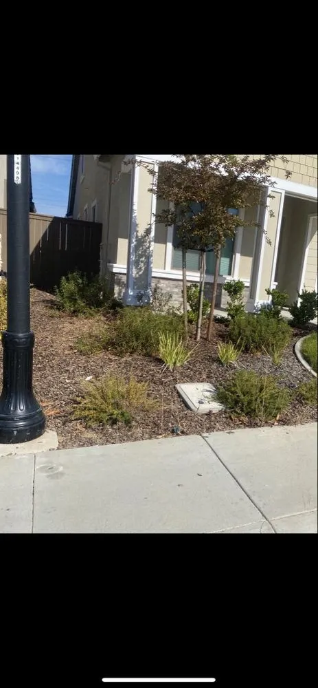 Top-rated garden landscaping with custom design across Antelope, CA - Evergreen Landscaping Services