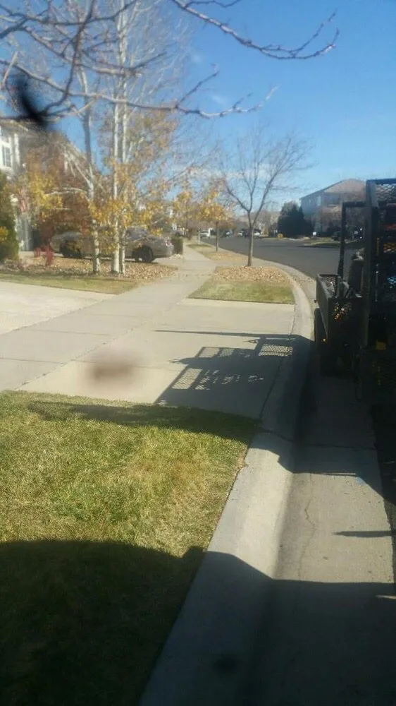 Affordable lawn care service near you across Denver, CO - Evergreen Landscaping Services