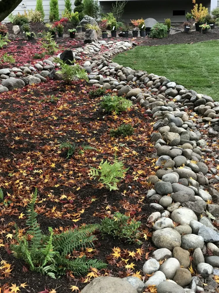 Affordable yard maintenance experts serving Marysville, WA - Evergreen Landscaping Services