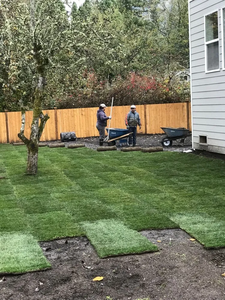 Top-rated yard maintenance near you across Marysville, WA - Evergreen Landscaping Services
