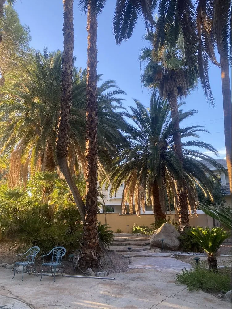 Trusted garden landscaping for residential properties across North Las Vegas, NV - Evergreen Landscaping Services