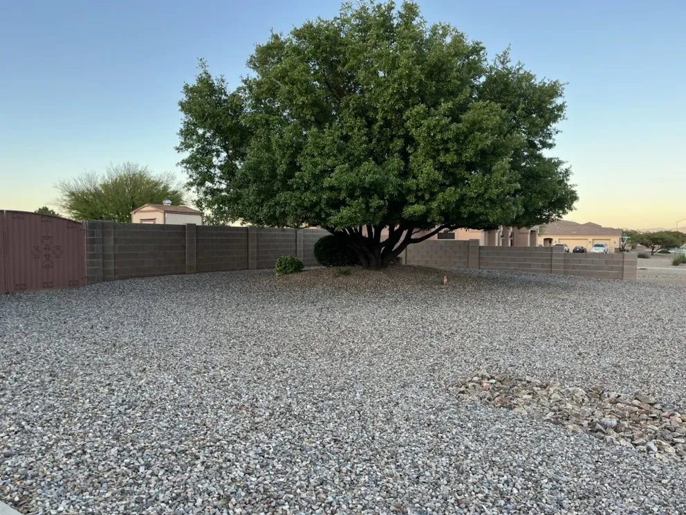 Professional residential landscaping experts serving Sierra Vista, AZ - Evergreen Landscaping