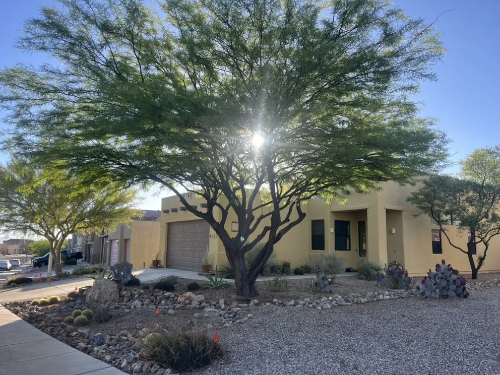 Affordable outdoor landscaping experts serving Sierra Vista, AZ - Evergreen Landscaping