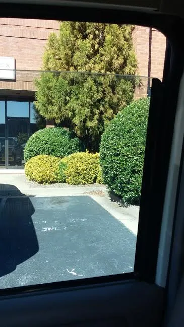 Affordable landscape installation near you across Suwanee, GA - Evergreen Landscaping