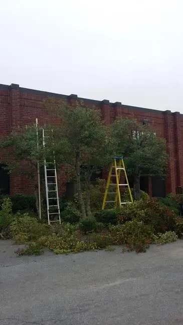 Custom residential landscaping for outdoor upgrades across Suwanee, GA - Evergreen Landscaping