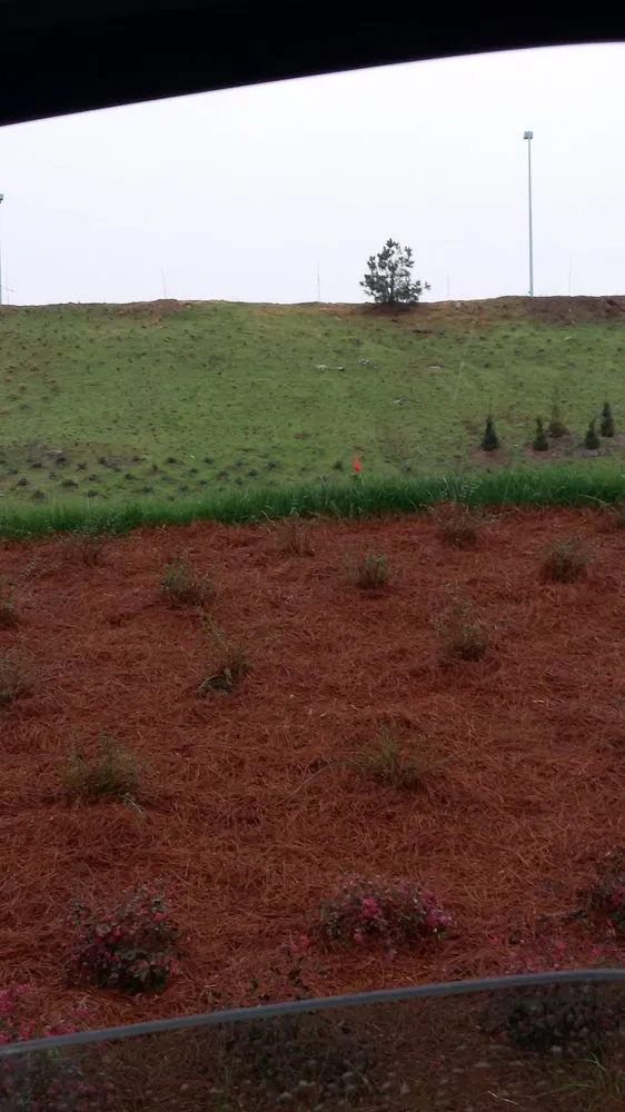 Affordable lawn care service for beautiful yards across Suwanee, GA - Evergreen Landscaping