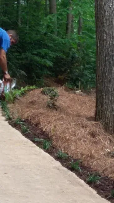 Local landscaping services in Suwanee, GA by Evergreen Landscaping