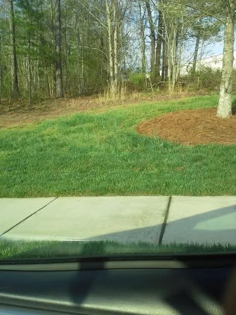 Trusted lawn care service for outdoor upgrades across Suwanee, GA - Evergreen Landscaping