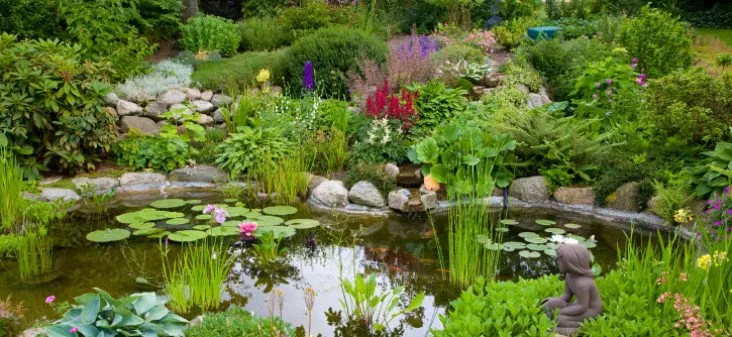 Custom lawn care service for residential properties in Suwanee, GA by Evergreen Landscaping