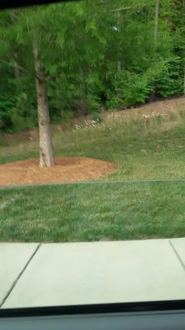 Professional garden landscaping for residential properties in Suwanee, GA by Evergreen Landscaping