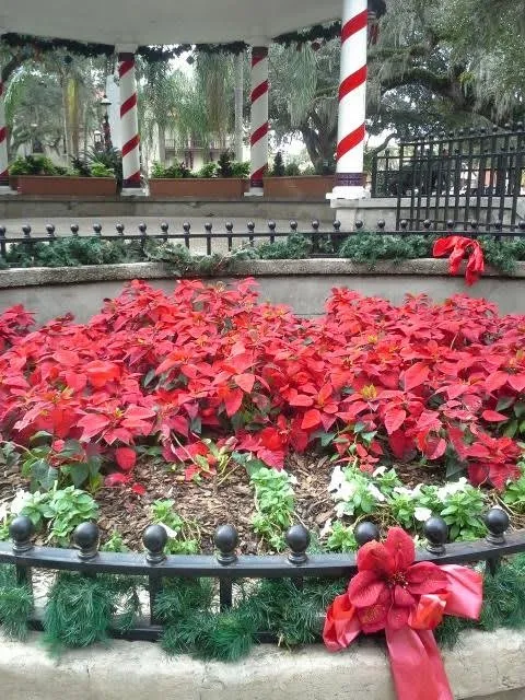 Local outdoor landscaping in Suwanee, GA by Evergreen Landscaping