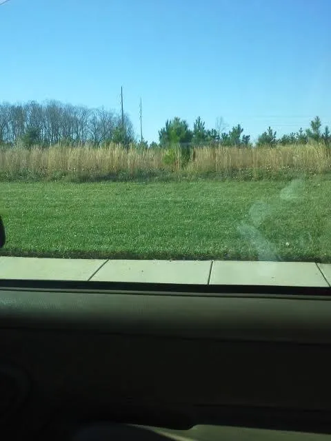 Affordable landscape installation in Suwanee, GA by Evergreen Landscaping