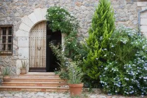 Top-rated lawn care service experts serving Suwanee, GA - Evergreen Landscaping