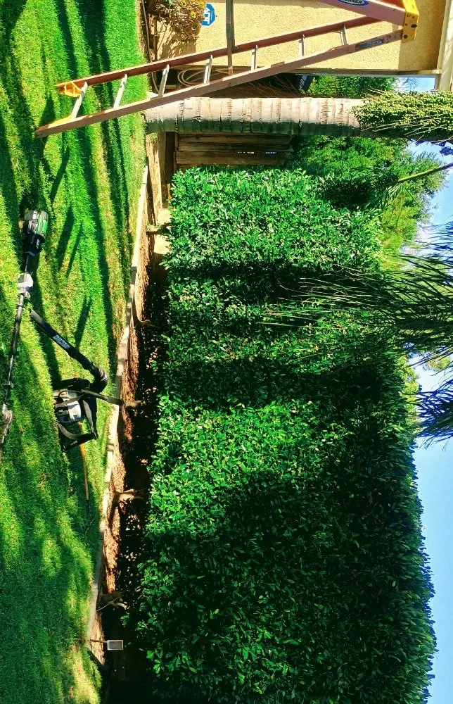 Trusted yard maintenance near you across Turlock, CA - Evergreen Landscaping