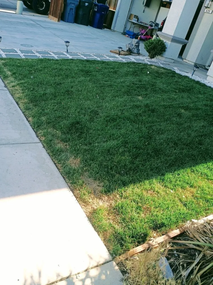 Top-rated garden landscaping with custom design in Turlock, CA by Evergreen Landscaping