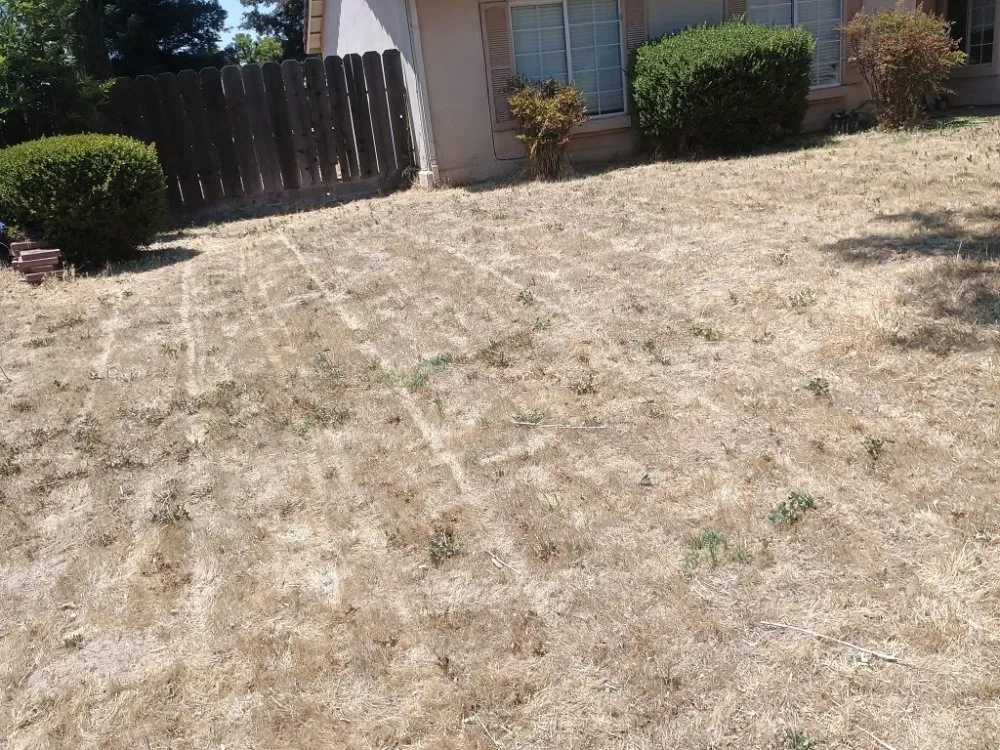 Local landscape installation with custom design across Turlock, CA - Evergreen Landscaping