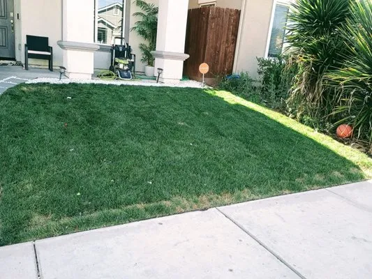 Evergreen Landscaping Logo