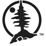 Professional yard maintenance in Wyoming, PA by Evergreen Landscaping