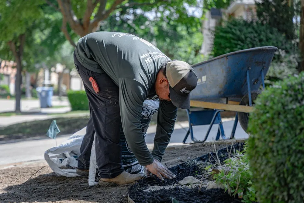 Top-rated landscaping services in Argyle, TX - Evergreen Lawn & Landscape