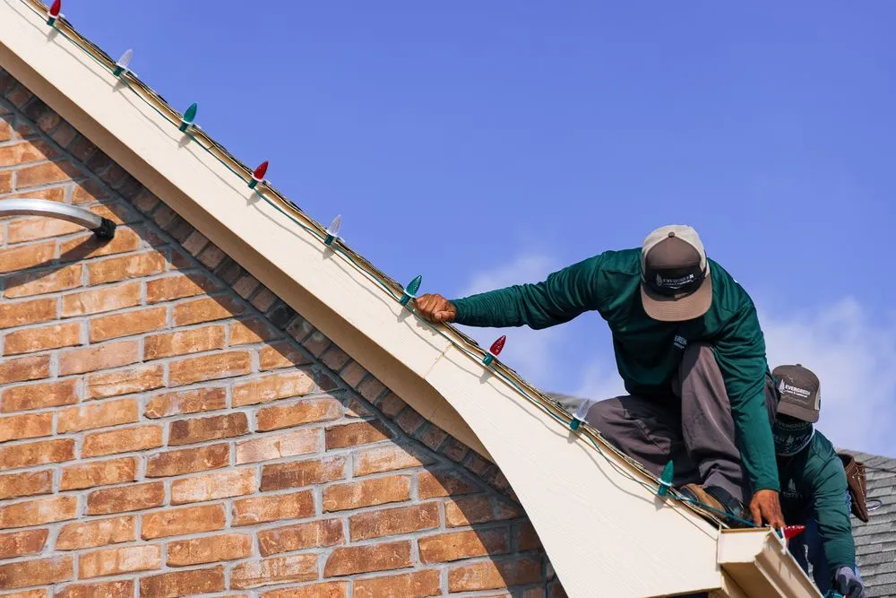 Professional yard cleanup service in Argyle, TX - Evergreen Lawn & Landscape