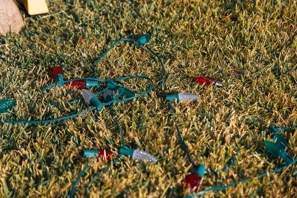 Reliable landscape installation for beautiful yards across Argyle, TX - Evergreen Lawn & Landscape