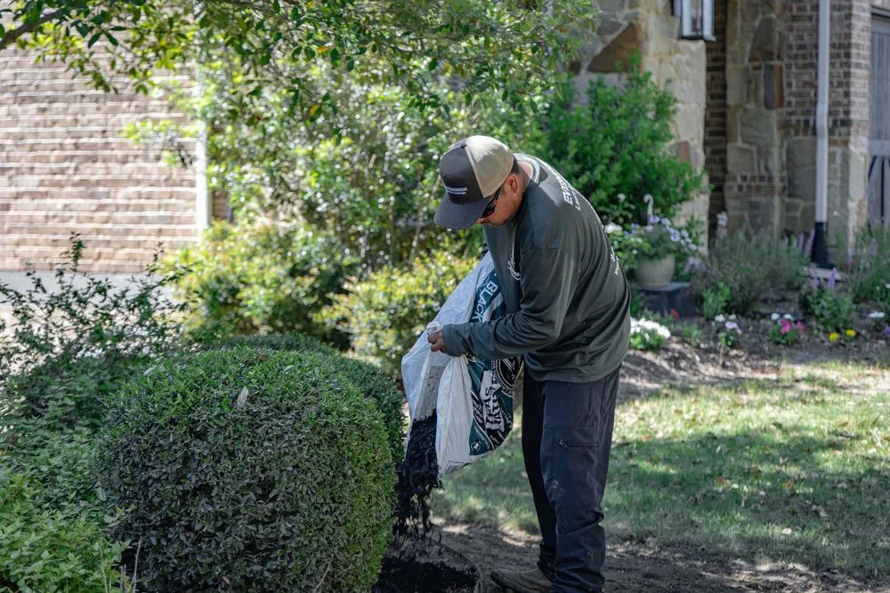 Top-rated landscaping services for year-round maintenance in Argyle, TX by Evergreen Lawn & Landscape