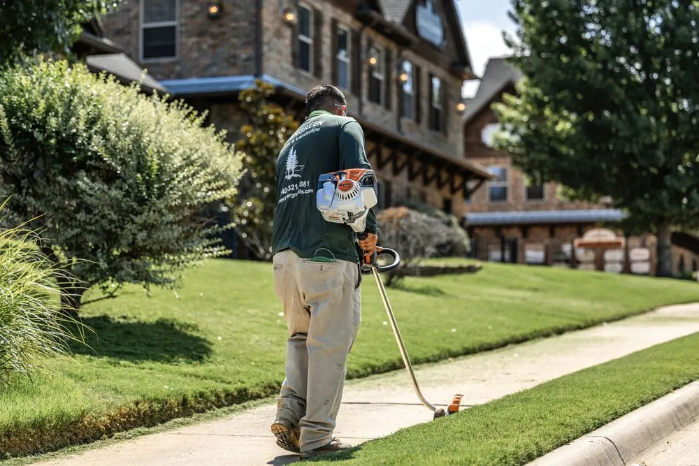 Expert yard cleanup service experts serving Argyle, TX - Evergreen Lawn & Landscape
