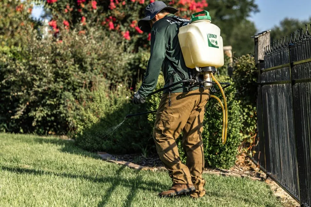 Expert yard cleanup service for year-round maintenance across Argyle, TX - Evergreen Lawn & Landscape