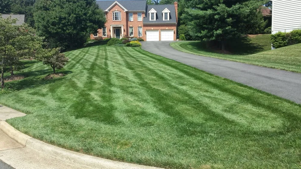 Top-rated yard maintenance for beautiful yards across Oakton, VA - Evergreen Lawn & Landscape Services