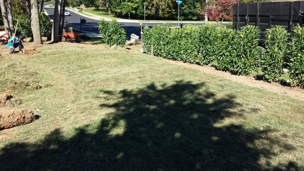 Expert landscape installation in Oakton, VA - Evergreen Lawn & Landscape Services