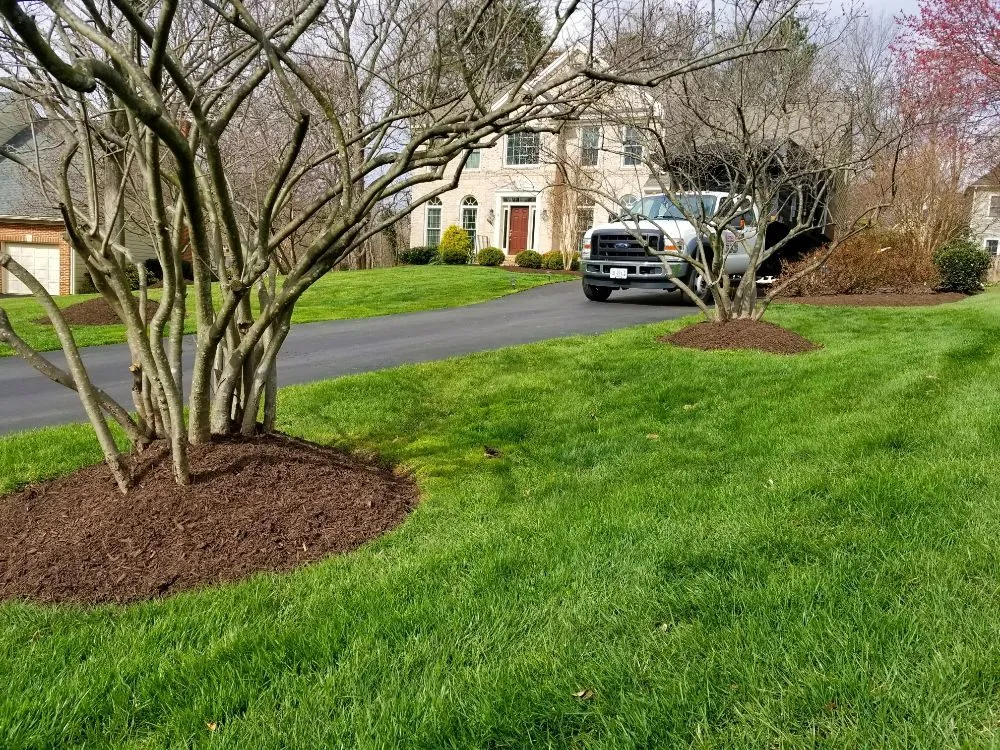 Affordable outdoor landscaping for beautiful yards in Oakton, VA by Evergreen Lawn & Landscape Services