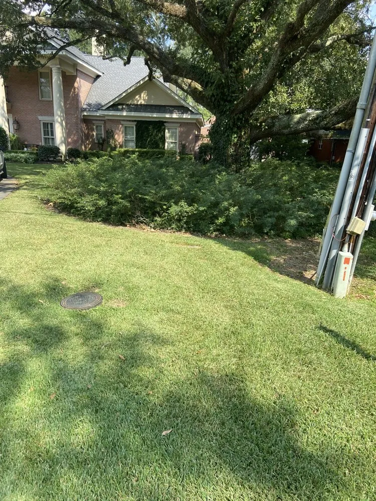Professional outdoor landscaping near you across Collinston, LA - Evergreen Lawn & Landscaping Maintenance