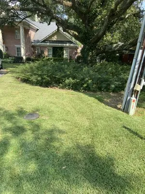 Evergreen Lawn & Landscaping Maintenance
