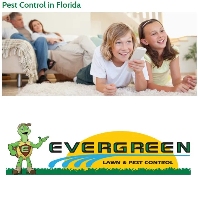 Professional lawn care service in Debary, FL by Evergreen Lawn & Pest Control